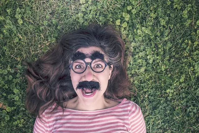 Top 10 des meilleurs classements humoristiques à partager